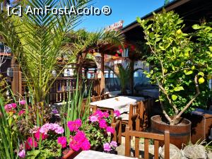 [P21] Restaurant Emona » foto by crismis
 - 
<span class="allrVoted glyphicon glyphicon-heart hidden" id="av1322387"></span>
<a class="m-l-10 hidden" id="sv1322387" onclick="voting_Foto_DelVot(,1322387,23685)" role="button">șterge vot <span class="glyphicon glyphicon-remove"></span></a>
<a id="v91322387" class=" c-red"  onclick="voting_Foto_SetVot(1322387)" role="button"><span class="glyphicon glyphicon-heart-empty"></span> <b>LIKE</b> = Votează poza</a> <img class="hidden"  id="f1322387W9" src="/imagini/loader.gif" border="0" /><span class="AjErrMes hidden" id="e1322387ErM"></span>