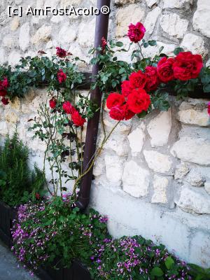 [P31] Restaurant Emona » foto by crismis
 - 
<span class="allrVoted glyphicon glyphicon-heart hidden" id="av1322397"></span>
<a class="m-l-10 hidden" id="sv1322397" onclick="voting_Foto_DelVot(,1322397,23685)" role="button">șterge vot <span class="glyphicon glyphicon-remove"></span></a>
<a id="v91322397" class=" c-red"  onclick="voting_Foto_SetVot(1322397)" role="button"><span class="glyphicon glyphicon-heart-empty"></span> <b>LIKE</b> = Votează poza</a> <img class="hidden"  id="f1322397W9" src="/imagini/loader.gif" border="0" /><span class="AjErrMes hidden" id="e1322397ErM"></span>