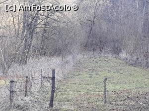 [P27] Caprioare la Fântâna Buridava. În stânga 2 și în dreapta spate, una.  » foto by Aurici
 - 
<span class="allrVoted glyphicon glyphicon-heart hidden" id="av963167"></span>
<a class="m-l-10 hidden" id="sv963167" onclick="voting_Foto_DelVot(,963167,23688)" role="button">șterge vot <span class="glyphicon glyphicon-remove"></span></a>
<a id="v9963167" class=" c-red"  onclick="voting_Foto_SetVot(963167)" role="button"><span class="glyphicon glyphicon-heart-empty"></span> <b>LIKE</b> = Votează poza</a> <img class="hidden"  id="f963167W9" src="/imagini/loader.gif" border="0" /><span class="AjErrMes hidden" id="e963167ErM"></span>