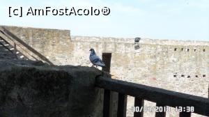 [P19] Cetatea Smederevo » foto by ungureanica
 - 
<span class="allrVoted glyphicon glyphicon-heart hidden" id="av963402"></span>
<a class="m-l-10 hidden" id="sv963402" onclick="voting_Foto_DelVot(,963402,23694)" role="button">șterge vot <span class="glyphicon glyphicon-remove"></span></a>
<a id="v9963402" class=" c-red"  onclick="voting_Foto_SetVot(963402)" role="button"><span class="glyphicon glyphicon-heart-empty"></span> <b>LIKE</b> = Votează poza</a> <img class="hidden"  id="f963402W9" src="/imagini/loader.gif" border="0" /><span class="AjErrMes hidden" id="e963402ErM"></span>