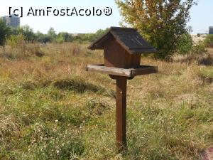 [P23] Parcul Natural Văcărești - Delta dintre blocuri.  » foto by iulianic
 - 
<span class="allrVoted glyphicon glyphicon-heart hidden" id="av1103731"></span>
<a class="m-l-10 hidden" id="sv1103731" onclick="voting_Foto_DelVot(,1103731,23697)" role="button">șterge vot <span class="glyphicon glyphicon-remove"></span></a>
<a id="v91103731" class=" c-red"  onclick="voting_Foto_SetVot(1103731)" role="button"><span class="glyphicon glyphicon-heart-empty"></span> <b>LIKE</b> = Votează poza</a> <img class="hidden"  id="f1103731W9" src="/imagini/loader.gif" border="0" /><span class="AjErrMes hidden" id="e1103731ErM"></span>