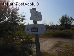 [P25] Parcul Natural Văcărești - Delta dintre blocuri.  » foto by iulianic
 - 
<span class="allrVoted glyphicon glyphicon-heart hidden" id="av1103733"></span>
<a class="m-l-10 hidden" id="sv1103733" onclick="voting_Foto_DelVot(,1103733,23697)" role="button">șterge vot <span class="glyphicon glyphicon-remove"></span></a>
<a id="v91103733" class=" c-red"  onclick="voting_Foto_SetVot(1103733)" role="button"><span class="glyphicon glyphicon-heart-empty"></span> <b>LIKE</b> = Votează poza</a> <img class="hidden"  id="f1103733W9" src="/imagini/loader.gif" border="0" /><span class="AjErrMes hidden" id="e1103733ErM"></span>
