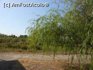 [P26] Parcul Natural Văcărești - Delta dintre blocuri.  » foto by iulianic
 - 
<span class="allrVoted glyphicon glyphicon-heart hidden" id="av1103734"></span>
<a class="m-l-10 hidden" id="sv1103734" onclick="voting_Foto_DelVot(,1103734,23697)" role="button">șterge vot <span class="glyphicon glyphicon-remove"></span></a>
<a id="v91103734" class=" c-red"  onclick="voting_Foto_SetVot(1103734)" role="button"><span class="glyphicon glyphicon-heart-empty"></span> <b>LIKE</b> = Votează poza</a> <img class="hidden"  id="f1103734W9" src="/imagini/loader.gif" border="0" /><span class="AjErrMes hidden" id="e1103734ErM"></span>
