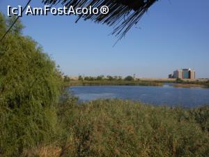 [P29] Parcul Natural Văcărești - Delta dintre blocuri.  » foto by iulianic
 - 
<span class="allrVoted glyphicon glyphicon-heart hidden" id="av1103738"></span>
<a class="m-l-10 hidden" id="sv1103738" onclick="voting_Foto_DelVot(,1103738,23697)" role="button">șterge vot <span class="glyphicon glyphicon-remove"></span></a>
<a id="v91103738" class=" c-red"  onclick="voting_Foto_SetVot(1103738)" role="button"><span class="glyphicon glyphicon-heart-empty"></span> <b>LIKE</b> = Votează poza</a> <img class="hidden"  id="f1103738W9" src="/imagini/loader.gif" border="0" /><span class="AjErrMes hidden" id="e1103738ErM"></span>