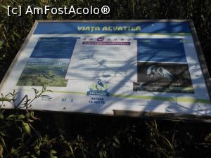 [P36] Parcul Natural Văcărești - Delta dintre blocuri.  » foto by iulianic
 - 
<span class="allrVoted glyphicon glyphicon-heart hidden" id="av1103747"></span>
<a class="m-l-10 hidden" id="sv1103747" onclick="voting_Foto_DelVot(,1103747,23697)" role="button">șterge vot <span class="glyphicon glyphicon-remove"></span></a>
<a id="v91103747" class=" c-red"  onclick="voting_Foto_SetVot(1103747)" role="button"><span class="glyphicon glyphicon-heart-empty"></span> <b>LIKE</b> = Votează poza</a> <img class="hidden"  id="f1103747W9" src="/imagini/loader.gif" border="0" /><span class="AjErrMes hidden" id="e1103747ErM"></span>