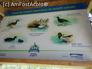 [P38] Parcul Natural Văcărești - Delta dintre blocuri.  » foto by iulianic
 - 
<span class="allrVoted glyphicon glyphicon-heart hidden" id="av1103749"></span>
<a class="m-l-10 hidden" id="sv1103749" onclick="voting_Foto_DelVot(,1103749,23697)" role="button">șterge vot <span class="glyphicon glyphicon-remove"></span></a>
<a id="v91103749" class=" c-red"  onclick="voting_Foto_SetVot(1103749)" role="button"><span class="glyphicon glyphicon-heart-empty"></span> <b>LIKE</b> = Votează poza</a> <img class="hidden"  id="f1103749W9" src="/imagini/loader.gif" border="0" /><span class="AjErrMes hidden" id="e1103749ErM"></span>