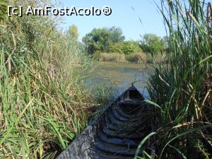 [P04] Parcul Natural Văcărești - Delta dintre blocuri. Barca celui de supraveghează locul.  » foto by iulianic
 - 
<span class="allrVoted glyphicon glyphicon-heart hidden" id="av1103705"></span>
<a class="m-l-10 hidden" id="sv1103705" onclick="voting_Foto_DelVot(,1103705,23697)" role="button">șterge vot <span class="glyphicon glyphicon-remove"></span></a>
<a id="v91103705" class=" c-red"  onclick="voting_Foto_SetVot(1103705)" role="button"><span class="glyphicon glyphicon-heart-empty"></span> <b>LIKE</b> = Votează poza</a> <img class="hidden"  id="f1103705W9" src="/imagini/loader.gif" border="0" /><span class="AjErrMes hidden" id="e1103705ErM"></span>