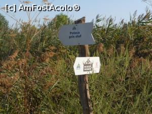 [P05] Parcul Natural Văcărești - Delta dintre blocuri. Spre Poteca prin stuf.  » foto by iulianic
 - 
<span class="allrVoted glyphicon glyphicon-heart hidden" id="av1103707"></span>
<a class="m-l-10 hidden" id="sv1103707" onclick="voting_Foto_DelVot(,1103707,23697)" role="button">șterge vot <span class="glyphicon glyphicon-remove"></span></a>
<a id="v91103707" class=" c-red"  onclick="voting_Foto_SetVot(1103707)" role="button"><span class="glyphicon glyphicon-heart-empty"></span> <b>LIKE</b> = Votează poza</a> <img class="hidden"  id="f1103707W9" src="/imagini/loader.gif" border="0" /><span class="AjErrMes hidden" id="e1103707ErM"></span>