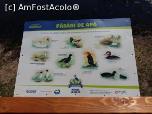 [P10] Parcul Natural Văcărești - un panou cu păsările ce poposesc aici iarna » foto by Dragoș_MD
 - 
<span class="allrVoted glyphicon glyphicon-heart hidden" id="av963928"></span>
<a class="m-l-10 hidden" id="sv963928" onclick="voting_Foto_DelVot(,963928,23697)" role="button">șterge vot <span class="glyphicon glyphicon-remove"></span></a>
<a id="v9963928" class=" c-red"  onclick="voting_Foto_SetVot(963928)" role="button"><span class="glyphicon glyphicon-heart-empty"></span> <b>LIKE</b> = Votează poza</a> <img class="hidden"  id="f963928W9" src="/imagini/loader.gif" border="0" /><span class="AjErrMes hidden" id="e963928ErM"></span>
