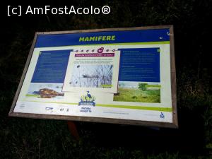 [P13] Parcul Natural Văcărești - panou cu descrierea mamiferelor ce sălășluiesc aici » foto by Dragoș_MD
 - 
<span class="allrVoted glyphicon glyphicon-heart hidden" id="av963931"></span>
<a class="m-l-10 hidden" id="sv963931" onclick="voting_Foto_DelVot(,963931,23697)" role="button">șterge vot <span class="glyphicon glyphicon-remove"></span></a>
<a id="v9963931" class=" c-red"  onclick="voting_Foto_SetVot(963931)" role="button"><span class="glyphicon glyphicon-heart-empty"></span> <b>LIKE</b> = Votează poza</a> <img class="hidden"  id="f963931W9" src="/imagini/loader.gif" border="0" /><span class="AjErrMes hidden" id="e963931ErM"></span>