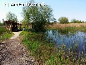 [P05] Parcul Natural Văcărești - punct de observare păsări acvatice » foto by Dragoș_MD
 - 
<span class="allrVoted glyphicon glyphicon-heart hidden" id="av963922"></span>
<a class="m-l-10 hidden" id="sv963922" onclick="voting_Foto_DelVot(,963922,23697)" role="button">șterge vot <span class="glyphicon glyphicon-remove"></span></a>
<a id="v9963922" class=" c-red"  onclick="voting_Foto_SetVot(963922)" role="button"><span class="glyphicon glyphicon-heart-empty"></span> <b>LIKE</b> = Votează poza</a> <img class="hidden"  id="f963922W9" src="/imagini/loader.gif" border="0" /><span class="AjErrMes hidden" id="e963922ErM"></span>