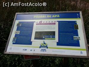 [P06] Parcul Natural Văcărești - ce păsăret puteți vedea aici » foto by Dragoș_MD
 - 
<span class="allrVoted glyphicon glyphicon-heart hidden" id="av963923"></span>
<a class="m-l-10 hidden" id="sv963923" onclick="voting_Foto_DelVot(,963923,23697)" role="button">șterge vot <span class="glyphicon glyphicon-remove"></span></a>
<a id="v9963923" class=" c-red"  onclick="voting_Foto_SetVot(963923)" role="button"><span class="glyphicon glyphicon-heart-empty"></span> <b>LIKE</b> = Votează poza</a> <img class="hidden"  id="f963923W9" src="/imagini/loader.gif" border="0" /><span class="AjErrMes hidden" id="e963923ErM"></span>