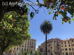 [P04] La Spezia - portocali si portocale » foto by mishu
 - 
<span class="allrVoted glyphicon glyphicon-heart hidden" id="av1291246"></span>
<a class="m-l-10 hidden" id="sv1291246" onclick="voting_Foto_DelVot(,1291246,23735)" role="button">șterge vot <span class="glyphicon glyphicon-remove"></span></a>
<a id="v91291246" class=" c-red"  onclick="voting_Foto_SetVot(1291246)" role="button"><span class="glyphicon glyphicon-heart-empty"></span> <b>LIKE</b> = Votează poza</a> <img class="hidden"  id="f1291246W9" src="/imagini/loader.gif" border="0" /><span class="AjErrMes hidden" id="e1291246ErM"></span>