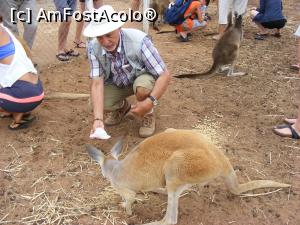 [P08] Western Australia - GREENOUGH WILDLIFE PARK - ademenim cangurii » foto by gigiiuti
 - 
<span class="allrVoted glyphicon glyphicon-heart hidden" id="av969371"></span>
<a class="m-l-10 hidden" id="sv969371" onclick="voting_Foto_DelVot(,969371,23750)" role="button">șterge vot <span class="glyphicon glyphicon-remove"></span></a>
<a id="v9969371" class=" c-red"  onclick="voting_Foto_SetVot(969371)" role="button"><span class="glyphicon glyphicon-heart-empty"></span> <b>LIKE</b> = Votează poza</a> <img class="hidden"  id="f969371W9" src="/imagini/loader.gif" border="0" /><span class="AjErrMes hidden" id="e969371ErM"></span>