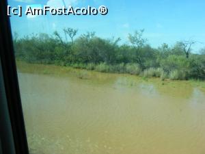[P03] Western Australia - încercăm să traversăm Lyndon river dintr-un șfung...  » foto by gigiiuti
 - 
<span class="allrVoted glyphicon glyphicon-heart hidden" id="av969936"></span>
<a class="m-l-10 hidden" id="sv969936" onclick="voting_Foto_DelVot(,969936,23750)" role="button">șterge vot <span class="glyphicon glyphicon-remove"></span></a>
<a id="v9969936" class=" c-red"  onclick="voting_Foto_SetVot(969936)" role="button"><span class="glyphicon glyphicon-heart-empty"></span> <b>LIKE</b> = Votează poza</a> <img class="hidden"  id="f969936W9" src="/imagini/loader.gif" border="0" /><span class="AjErrMes hidden" id="e969936ErM"></span>
