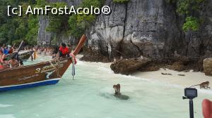 [P14] Monkey Beach - maimuta la panda » foto by r-Uca
 - 
<span class="allrVoted glyphicon glyphicon-heart hidden" id="av968811"></span>
<a class="m-l-10 hidden" id="sv968811" onclick="voting_Foto_DelVot(,968811,23758)" role="button">șterge vot <span class="glyphicon glyphicon-remove"></span></a>
<a id="v9968811" class=" c-red"  onclick="voting_Foto_SetVot(968811)" role="button"><span class="glyphicon glyphicon-heart-empty"></span> <b>LIKE</b> = Votează poza</a> <img class="hidden"  id="f968811W9" src="/imagini/loader.gif" border="0" /><span class="AjErrMes hidden" id="e968811ErM"></span>