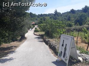 [P27] Podgorii și indicatoare către degustări de vin pe insula Šipan.  » foto by Aurici
 - 
<span class="allrVoted glyphicon glyphicon-heart hidden" id="av1015051"></span>
<a class="m-l-10 hidden" id="sv1015051" onclick="voting_Foto_DelVot(,1015051,23764)" role="button">șterge vot <span class="glyphicon glyphicon-remove"></span></a>
<a id="v91015051" class=" c-red"  onclick="voting_Foto_SetVot(1015051)" role="button"><span class="glyphicon glyphicon-heart-empty"></span> <b>LIKE</b> = Votează poza</a> <img class="hidden"  id="f1015051W9" src="/imagini/loader.gif" border="0" /><span class="AjErrMes hidden" id="e1015051ErM"></span>