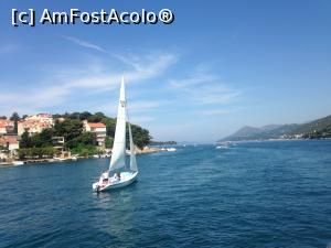 [P60] Tot mai aproape de portul din Dubrovnik.  » foto by Aurici
 - 
<span class="allrVoted glyphicon glyphicon-heart hidden" id="av1015111"></span>
<a class="m-l-10 hidden" id="sv1015111" onclick="voting_Foto_DelVot(,1015111,23764)" role="button">șterge vot <span class="glyphicon glyphicon-remove"></span></a>
<a id="v91015111" class=" c-red"  onclick="voting_Foto_SetVot(1015111)" role="button"><span class="glyphicon glyphicon-heart-empty"></span> <b>LIKE</b> = Votează poza</a> <img class="hidden"  id="f1015111W9" src="/imagini/loader.gif" border="0" /><span class="AjErrMes hidden" id="e1015111ErM"></span>