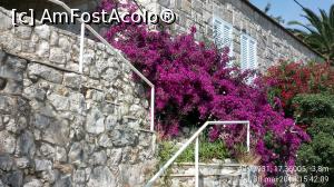 [P40] Pe malul Marelui Lac (Veliko Jezero), Insula Mljet.  » foto by Aurici
 - 
<span class="allrVoted glyphicon glyphicon-heart hidden" id="av1017360"></span>
<a class="m-l-10 hidden" id="sv1017360" onclick="voting_Foto_DelVot(,1017360,23764)" role="button">șterge vot <span class="glyphicon glyphicon-remove"></span></a>
<a id="v91017360" class=" c-red"  onclick="voting_Foto_SetVot(1017360)" role="button"><span class="glyphicon glyphicon-heart-empty"></span> <b>LIKE</b> = Votează poza</a> <img class="hidden"  id="f1017360W9" src="/imagini/loader.gif" border="0" /><span class="AjErrMes hidden" id="e1017360ErM"></span>