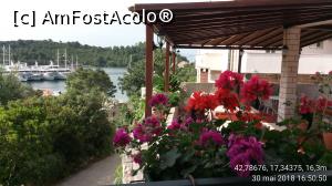 [P45] Agroturism Dalmatino - terasa unde am mâncat, vedere spre portul din Pomena.  » foto by Aurici
 - 
<span class="allrVoted glyphicon glyphicon-heart hidden" id="av1017371"></span>
<a class="m-l-10 hidden" id="sv1017371" onclick="voting_Foto_DelVot(,1017371,23764)" role="button">șterge vot <span class="glyphicon glyphicon-remove"></span></a>
<a id="v91017371" class=" c-red"  onclick="voting_Foto_SetVot(1017371)" role="button"><span class="glyphicon glyphicon-heart-empty"></span> <b>LIKE</b> = Votează poza</a> <img class="hidden"  id="f1017371W9" src="/imagini/loader.gif" border="0" /><span class="AjErrMes hidden" id="e1017371ErM"></span>