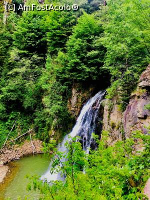 [P16] Cascada văzută din drum » foto by Yersinia Pestis
 - 
<span class="allrVoted glyphicon glyphicon-heart hidden" id="av969996"></span>
<a class="m-l-10 hidden" id="sv969996" onclick="voting_Foto_DelVot(,969996,23775)" role="button">șterge vot <span class="glyphicon glyphicon-remove"></span></a>
<a id="v9969996" class=" c-red"  onclick="voting_Foto_SetVot(969996)" role="button"><span class="glyphicon glyphicon-heart-empty"></span> <b>LIKE</b> = Votează poza</a> <img class="hidden"  id="f969996W9" src="/imagini/loader.gif" border="0" /><span class="AjErrMes hidden" id="e969996ErM"></span>