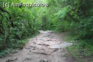 [P24] Madara, Rezervația istorico-arheologică națională, Poteca din stânga ce duce la Cetate sau la Altar » foto by mprofeanu
 - 
<span class="allrVoted glyphicon glyphicon-heart hidden" id="av1247866"></span>
<a class="m-l-10 hidden" id="sv1247866" onclick="voting_Foto_DelVot(,1247866,23784)" role="button">șterge vot <span class="glyphicon glyphicon-remove"></span></a>
<a id="v91247866" class=" c-red"  onclick="voting_Foto_SetVot(1247866)" role="button"><span class="glyphicon glyphicon-heart-empty"></span> <b>LIKE</b> = Votează poza</a> <img class="hidden"  id="f1247866W9" src="/imagini/loader.gif" border="0" /><span class="AjErrMes hidden" id="e1247866ErM"></span>