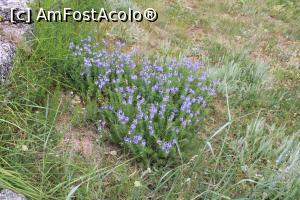[P56] Madara, Platoul Madara, Pe Poteca Secretă de  la Cetatea Madera » foto by mprofeanu
 - 
<span class="allrVoted glyphicon glyphicon-heart hidden" id="av1247898"></span>
<a class="m-l-10 hidden" id="sv1247898" onclick="voting_Foto_DelVot(,1247898,23784)" role="button">șterge vot <span class="glyphicon glyphicon-remove"></span></a>
<a id="v91247898" class=" c-red"  onclick="voting_Foto_SetVot(1247898)" role="button"><span class="glyphicon glyphicon-heart-empty"></span> <b>LIKE</b> = Votează poza</a> <img class="hidden"  id="f1247898W9" src="/imagini/loader.gif" border="0" /><span class="AjErrMes hidden" id="e1247898ErM"></span>