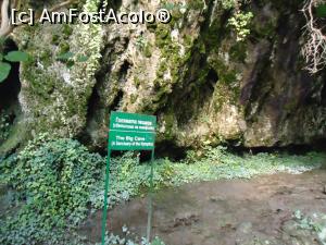 [P10] patrundem in lumea misterioasa a nimfelor » foto by buterfly*
 - 
<span class="allrVoted glyphicon glyphicon-heart hidden" id="av854856"></span>
<a class="m-l-10 hidden" id="sv854856" onclick="voting_Foto_DelVot(,854856,23784)" role="button">șterge vot <span class="glyphicon glyphicon-remove"></span></a>
<a id="v9854856" class=" c-red"  onclick="voting_Foto_SetVot(854856)" role="button"><span class="glyphicon glyphicon-heart-empty"></span> <b>LIKE</b> = Votează poza</a> <img class="hidden"  id="f854856W9" src="/imagini/loader.gif" border="0" /><span class="AjErrMes hidden" id="e854856ErM"></span>