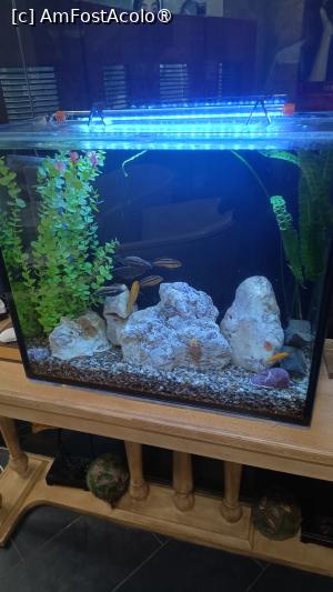 [P31] Eco Therma Village - SPA » foto by Dragoș_MD
 - 
<span class="allrVoted glyphicon glyphicon-heart hidden" id="av1505937"></span>
<a class="m-l-10 hidden" id="sv1505937" onclick="voting_Foto_DelVot(,1505937,23796)" role="button">șterge vot <span class="glyphicon glyphicon-remove"></span></a>
<a id="v91505937" class=" c-red"  onclick="voting_Foto_SetVot(1505937)" role="button"><span class="glyphicon glyphicon-heart-empty"></span> <b>LIKE</b> = Votează poza</a> <img class="hidden"  id="f1505937W9" src="/imagini/loader.gif" border="0" /><span class="AjErrMes hidden" id="e1505937ErM"></span>