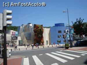 [P20] Muzeul Guggenheim și cățelul lui Jeff Koons. » foto by mireille
 - 
<span class="allrVoted glyphicon glyphicon-heart hidden" id="av971843"></span>
<a class="m-l-10 hidden" id="sv971843" onclick="voting_Foto_DelVot(,971843,23798)" role="button">șterge vot <span class="glyphicon glyphicon-remove"></span></a>
<a id="v9971843" class=" c-red"  onclick="voting_Foto_SetVot(971843)" role="button"><span class="glyphicon glyphicon-heart-empty"></span> <b>LIKE</b> = Votează poza</a> <img class="hidden"  id="f971843W9" src="/imagini/loader.gif" border="0" /><span class="AjErrMes hidden" id="e971843ErM"></span>