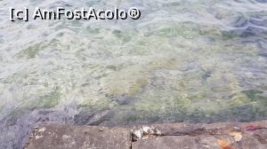 [P11] Pietre la intrarea in mare de pe trepte » foto by Mozart
 - 
<span class="allrVoted glyphicon glyphicon-heart hidden" id="av982028"></span>
<a class="m-l-10 hidden" id="sv982028" onclick="voting_Foto_DelVot(,982028,23799)" role="button">șterge vot <span class="glyphicon glyphicon-remove"></span></a>
<a id="v9982028" class=" c-red"  onclick="voting_Foto_SetVot(982028)" role="button"><span class="glyphicon glyphicon-heart-empty"></span> <b>LIKE</b> = Votează poza</a> <img class="hidden"  id="f982028W9" src="/imagini/loader.gif" border="0" /><span class="AjErrMes hidden" id="e982028ErM"></span>