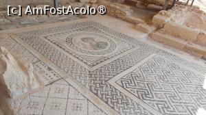 [P12] Situl arheologic Kourion - Casa lui Eustolios, mozaicul Ktisis » foto by Carmen Ion
 - 
<span class="allrVoted glyphicon glyphicon-heart hidden" id="av1477139"></span>
<a class="m-l-10 hidden" id="sv1477139" onclick="voting_Foto_DelVot(,1477139,23804)" role="button">șterge vot <span class="glyphicon glyphicon-remove"></span></a>
<a id="v91477139" class=" c-red"  onclick="voting_Foto_SetVot(1477139)" role="button"><span class="glyphicon glyphicon-heart-empty"></span> <b>LIKE</b> = Votează poza</a> <img class="hidden"  id="f1477139W9" src="/imagini/loader.gif" border="0" /><span class="AjErrMes hidden" id="e1477139ErM"></span>