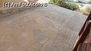 [P15] Situl arheologic Kourion - Casa lui Eustolios, mozaicuri » foto by Carmen Ion
 - 
<span class="allrVoted glyphicon glyphicon-heart hidden" id="av1477142"></span>
<a class="m-l-10 hidden" id="sv1477142" onclick="voting_Foto_DelVot(,1477142,23804)" role="button">șterge vot <span class="glyphicon glyphicon-remove"></span></a>
<a id="v91477142" class=" c-red"  onclick="voting_Foto_SetVot(1477142)" role="button"><span class="glyphicon glyphicon-heart-empty"></span> <b>LIKE</b> = Votează poza</a> <img class="hidden"  id="f1477142W9" src="/imagini/loader.gif" border="0" /><span class="AjErrMes hidden" id="e1477142ErM"></span>