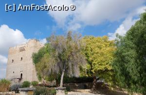 [P32] Castelul Kolossi » foto by Carmen Ion
 - 
<span class="allrVoted glyphicon glyphicon-heart hidden" id="av1477159"></span>
<a class="m-l-10 hidden" id="sv1477159" onclick="voting_Foto_DelVot(,1477159,23804)" role="button">șterge vot <span class="glyphicon glyphicon-remove"></span></a>
<a id="v91477159" class=" c-red"  onclick="voting_Foto_SetVot(1477159)" role="button"><span class="glyphicon glyphicon-heart-empty"></span> <b>LIKE</b> = Votează poza</a> <img class="hidden"  id="f1477159W9" src="/imagini/loader.gif" border="0" /><span class="AjErrMes hidden" id="e1477159ErM"></span>
