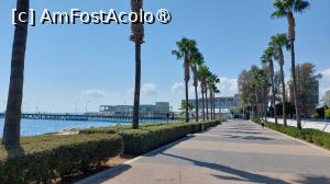 [P18] Limassol Molos, promenada orașului » foto by Carmen Ion
 - 
<span class="allrVoted glyphicon glyphicon-heart hidden" id="av1477591"></span>
<a class="m-l-10 hidden" id="sv1477591" onclick="voting_Foto_DelVot(,1477591,23804)" role="button">șterge vot <span class="glyphicon glyphicon-remove"></span></a>
<a id="v91477591" class=" c-red"  onclick="voting_Foto_SetVot(1477591)" role="button"><span class="glyphicon glyphicon-heart-empty"></span> <b>LIKE</b> = Votează poza</a> <img class="hidden"  id="f1477591W9" src="/imagini/loader.gif" border="0" /><span class="AjErrMes hidden" id="e1477591ErM"></span>