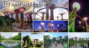 [P02] Gardens By The Bay » foto by r-Uca <span class="label label-default labelC_thin small">NEVOTABILĂ</span>