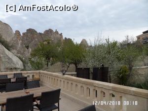 [P28] Ați observat-o? Stă în echilibru stabil pe o stinghie de vreo trei centimetri lățime...  » foto by Alina53
 - 
<span class="allrVoted glyphicon glyphicon-heart hidden" id="av980416"></span>
<a class="m-l-10 hidden" id="sv980416" onclick="voting_Foto_DelVot(,980416,23888)" role="button">șterge vot <span class="glyphicon glyphicon-remove"></span></a>
<a id="v9980416" class=" c-red"  onclick="voting_Foto_SetVot(980416)" role="button"><span class="glyphicon glyphicon-heart-empty"></span> <b>LIKE</b> = Votează poza</a> <img class="hidden"  id="f980416W9" src="/imagini/loader.gif" border="0" /><span class="AjErrMes hidden" id="e980416ErM"></span>