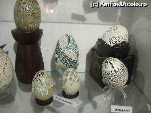 [P13] Noua Zeelandă și Germania împart același spațiu.  » foto by Floryn81
 - 
<span class="allrVoted glyphicon glyphicon-heart hidden" id="av576648"></span>
<a class="m-l-10 hidden" id="sv576648" onclick="voting_Foto_DelVot(,576648,23890)" role="button">șterge vot <span class="glyphicon glyphicon-remove"></span></a>
<a id="v9576648" class=" c-red"  onclick="voting_Foto_SetVot(576648)" role="button"><span class="glyphicon glyphicon-heart-empty"></span> <b>LIKE</b> = Votează poza</a> <img class="hidden"  id="f576648W9" src="/imagini/loader.gif" border="0" /><span class="AjErrMes hidden" id="e576648ErM"></span>