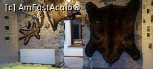 [P18] 18. Tot aici sunt și câteva trofee de vânătoare impresionante. » foto by msnd
 - 
<span class="allrVoted glyphicon glyphicon-heart hidden" id="av1272111"></span>
<a class="m-l-10 hidden" id="sv1272111" onclick="voting_Foto_DelVot(,1272111,23928)" role="button">șterge vot <span class="glyphicon glyphicon-remove"></span></a>
<a id="v91272111" class=" c-red"  onclick="voting_Foto_SetVot(1272111)" role="button"><span class="glyphicon glyphicon-heart-empty"></span> <b>LIKE</b> = Votează poza</a> <img class="hidden"  id="f1272111W9" src="/imagini/loader.gif" border="0" /><span class="AjErrMes hidden" id="e1272111ErM"></span>