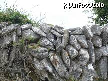 [P34] pe mine m-au uimit aceste garduri, sincer... unora nu le-am inteles utilitatea. dar ele exista si in pustiu... » foto by a.sr*
 - 
<span class="allrVoted glyphicon glyphicon-heart hidden" id="av259173"></span>
<a class="m-l-10 hidden" id="sv259173" onclick="voting_Foto_DelVot(,259173,23932)" role="button">șterge vot <span class="glyphicon glyphicon-remove"></span></a>
<a id="v9259173" class=" c-red"  onclick="voting_Foto_SetVot(259173)" role="button"><span class="glyphicon glyphicon-heart-empty"></span> <b>LIKE</b> = Votează poza</a> <img class="hidden"  id="f259173W9" src="/imagini/loader.gif" border="0" /><span class="AjErrMes hidden" id="e259173ErM"></span>