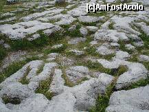 [P37] asa arata peisajul in parcul neolitic. cand ploua aluneca foarte rau » foto by a.sr*
 - 
<span class="allrVoted glyphicon glyphicon-heart hidden" id="av259176"></span>
<a class="m-l-10 hidden" id="sv259176" onclick="voting_Foto_DelVot(,259176,23932)" role="button">șterge vot <span class="glyphicon glyphicon-remove"></span></a>
<a id="v9259176" class=" c-red"  onclick="voting_Foto_SetVot(259176)" role="button"><span class="glyphicon glyphicon-heart-empty"></span> <b>LIKE</b> = Votează poza</a> <img class="hidden"  id="f259176W9" src="/imagini/loader.gif" border="0" /><span class="AjErrMes hidden" id="e259176ErM"></span>