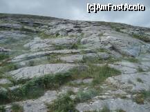 [P07] cam acesta este peisajul tinutului : piatra si iarba » foto by a.sr*
 - 
<span class="allrVoted glyphicon glyphicon-heart hidden" id="av259133"></span>
<a class="m-l-10 hidden" id="sv259133" onclick="voting_Foto_DelVot(,259133,23932)" role="button">șterge vot <span class="glyphicon glyphicon-remove"></span></a>
<a id="v9259133" class=" c-red"  onclick="voting_Foto_SetVot(259133)" role="button"><span class="glyphicon glyphicon-heart-empty"></span> <b>LIKE</b> = Votează poza</a> <img class="hidden"  id="f259133W9" src="/imagini/loader.gif" border="0" /><span class="AjErrMes hidden" id="e259133ErM"></span>