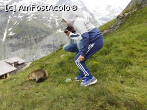 [P04] marmota » foto by enacosmetics
 - 
<span class="allrVoted glyphicon glyphicon-heart hidden" id="av982789"></span>
<a class="m-l-10 hidden" id="sv982789" onclick="voting_Foto_DelVot(,982789,23935)" role="button">șterge vot <span class="glyphicon glyphicon-remove"></span></a>
<a id="v9982789" class=" c-red"  onclick="voting_Foto_SetVot(982789)" role="button"><span class="glyphicon glyphicon-heart-empty"></span> <b>LIKE</b> = Votează poza</a> <img class="hidden"  id="f982789W9" src="/imagini/loader.gif" border="0" /><span class="AjErrMes hidden" id="e982789ErM"></span>
