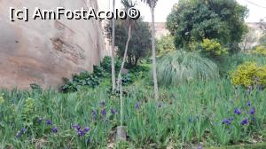 [P18] Zidurile de aparare ale orasului!  » foto by balasa violeta
 - 
<span class="allrVoted glyphicon glyphicon-heart hidden" id="av982942"></span>
<a class="m-l-10 hidden" id="sv982942" onclick="voting_Foto_DelVot(,982942,23939)" role="button">șterge vot <span class="glyphicon glyphicon-remove"></span></a>
<a id="v9982942" class=" c-red"  onclick="voting_Foto_SetVot(982942)" role="button"><span class="glyphicon glyphicon-heart-empty"></span> <b>LIKE</b> = Votează poza</a> <img class="hidden"  id="f982942W9" src="/imagini/loader.gif" border="0" /><span class="AjErrMes hidden" id="e982942ErM"></span>