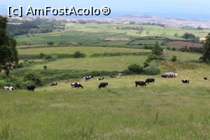 [P46] Insula Terceira, văcuțele și peticele de pășune marcate prin ziduri » foto by mprofeanu
 - 
<span class="allrVoted glyphicon glyphicon-heart hidden" id="av983860"></span>
<a class="m-l-10 hidden" id="sv983860" onclick="voting_Foto_DelVot(,983860,23953)" role="button">șterge vot <span class="glyphicon glyphicon-remove"></span></a>
<a id="v9983860" class=" c-red"  onclick="voting_Foto_SetVot(983860)" role="button"><span class="glyphicon glyphicon-heart-empty"></span> <b>LIKE</b> = Votează poza</a> <img class="hidden"  id="f983860W9" src="/imagini/loader.gif" border="0" /><span class="AjErrMes hidden" id="e983860ErM"></span>