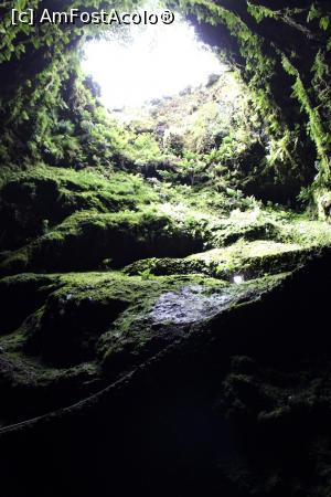 [P10] Insula Terceira, Gruta Algar do Carvao, Vedere în sus spre craterul ovaloid de intrare » foto by mprofeanu
 - 
<span class="allrVoted glyphicon glyphicon-heart hidden" id="av995520"></span>
<a class="m-l-10 hidden" id="sv995520" onclick="voting_Foto_DelVot(,995520,23953)" role="button">șterge vot <span class="glyphicon glyphicon-remove"></span></a>
<a id="v9995520" class=" c-red"  onclick="voting_Foto_SetVot(995520)" role="button"><span class="glyphicon glyphicon-heart-empty"></span> <b>LIKE</b> = Votează poza</a> <img class="hidden"  id="f995520W9" src="/imagini/loader.gif" border="0" /><span class="AjErrMes hidden" id="e995520ErM"></span>