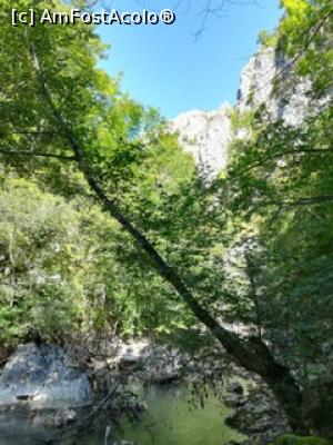 [P01]  -- <small>// FĂRĂ DESCRIERE</small> » foto by lumit06
 - 
<span class="allrVoted glyphicon glyphicon-heart hidden" id="av1184237"></span>
<a class="m-l-10 hidden" id="sv1184237" onclick="voting_Foto_DelVot(,1184237,24018)" role="button">șterge vot <span class="glyphicon glyphicon-remove"></span></a>
<a id="v91184237" class=" c-red"  onclick="voting_Foto_SetVot(1184237)" role="button"><span class="glyphicon glyphicon-heart-empty"></span> <b>LIKE</b> = Votează poza</a> <img class="hidden"  id="f1184237W9" src="/imagini/loader.gif" border="0" /><span class="AjErrMes hidden" id="e1184237ErM"></span>