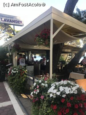 [P02] Lavander, terasa de pe malul mării » foto by krisstinna
 - 
<span class="allrVoted glyphicon glyphicon-heart hidden" id="av1005333"></span>
<a class="m-l-10 hidden" id="sv1005333" onclick="voting_Foto_DelVot(,1005333,24022)" role="button">șterge vot <span class="glyphicon glyphicon-remove"></span></a>
<a id="v91005333" class=" c-red"  onclick="voting_Foto_SetVot(1005333)" role="button"><span class="glyphicon glyphicon-heart-empty"></span> <b>LIKE</b> = Votează poza</a> <img class="hidden"  id="f1005333W9" src="/imagini/loader.gif" border="0" /><span class="AjErrMes hidden" id="e1005333ErM"></span>