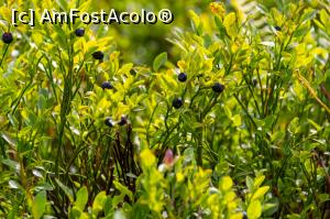 [P10] afine cat vezi cu ochii pe traseul spre belvedere Mogos » foto by raducondurache
 - 
<span class="allrVoted glyphicon glyphicon-heart hidden" id="av1320334"></span>
<a class="m-l-10 hidden" id="sv1320334" onclick="voting_Foto_DelVot(,1320334,24030)" role="button">șterge vot <span class="glyphicon glyphicon-remove"></span></a>
<a id="v91320334" class=" c-red"  onclick="voting_Foto_SetVot(1320334)" role="button"><span class="glyphicon glyphicon-heart-empty"></span> <b>LIKE</b> = Votează poza</a> <img class="hidden"  id="f1320334W9" src="/imagini/loader.gif" border="0" /><span class="AjErrMes hidden" id="e1320334ErM"></span>