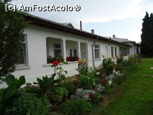 [P17] Viața idioritmică de la Mănăstirea Țigănești.  » foto by tata123 🔱
 - 
<span class="allrVoted glyphicon glyphicon-heart hidden" id="av989682"></span>
<a class="m-l-10 hidden" id="sv989682" onclick="voting_Foto_DelVot(,989682,24032)" role="button">șterge vot <span class="glyphicon glyphicon-remove"></span></a>
<a id="v9989682" class=" c-red"  onclick="voting_Foto_SetVot(989682)" role="button"><span class="glyphicon glyphicon-heart-empty"></span> <b>LIKE</b> = Votează poza</a> <img class="hidden"  id="f989682W9" src="/imagini/loader.gif" border="0" /><span class="AjErrMes hidden" id="e989682ErM"></span>
